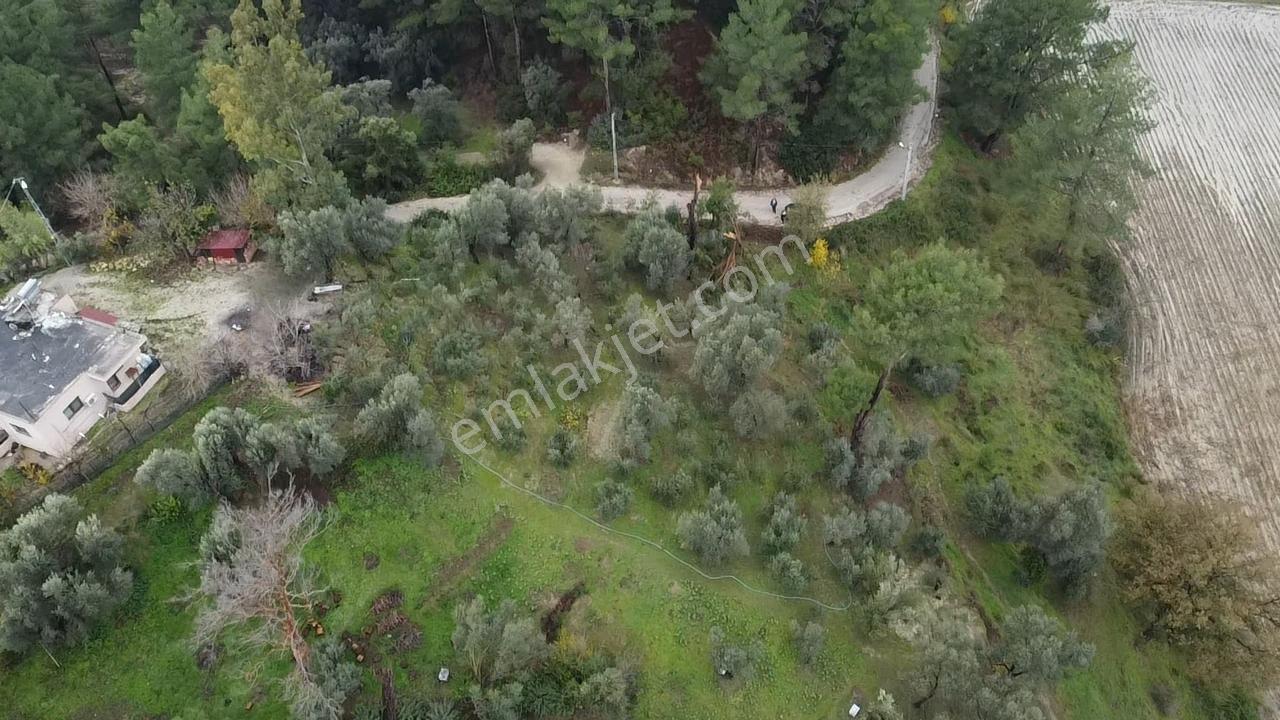 S. Kemer Korubükü'nde Köyiçi İmarlı 1439 M2 Satılık Arsa - Görsel 18