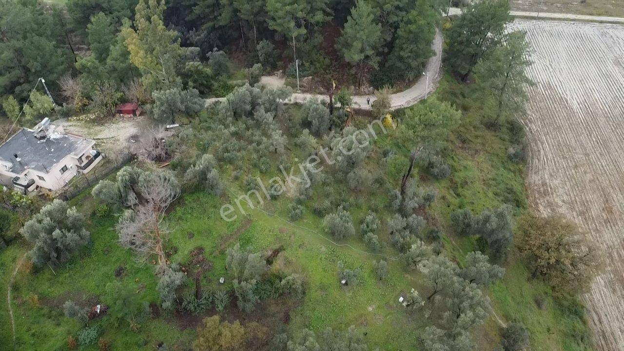 S. Kemer Korubükü'nde Köyiçi İmarlı 1439 M2 Satılık Arsa - Görsel 4