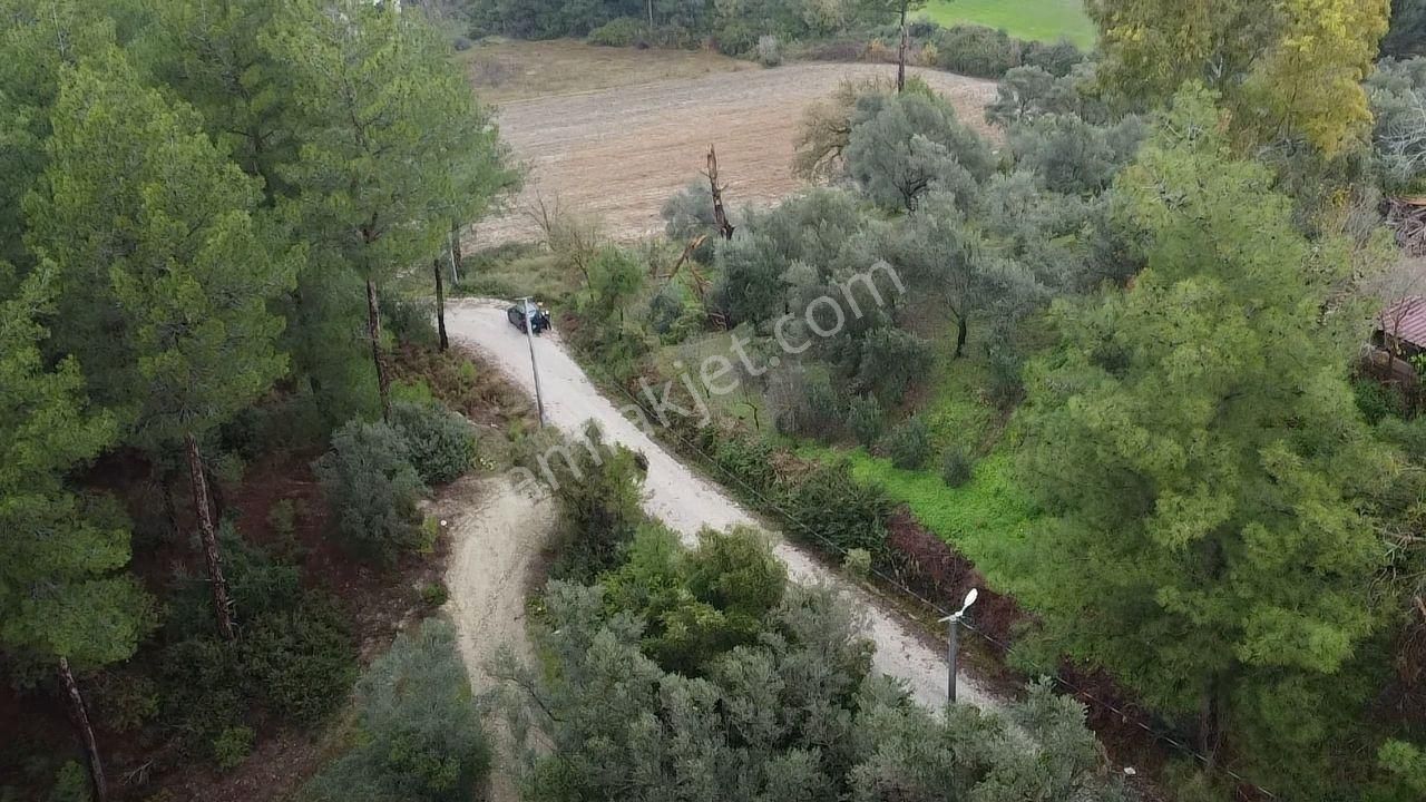 S. Kemer Korubükü'nde Köyiçi İmarlı 1439 M2 Satılık Arsa - Görsel 32