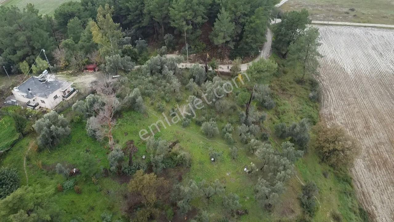 S. Kemer Korubükü'nde Köyiçi İmarlı 1439 M2 Satılık Arsa - Görsel 17