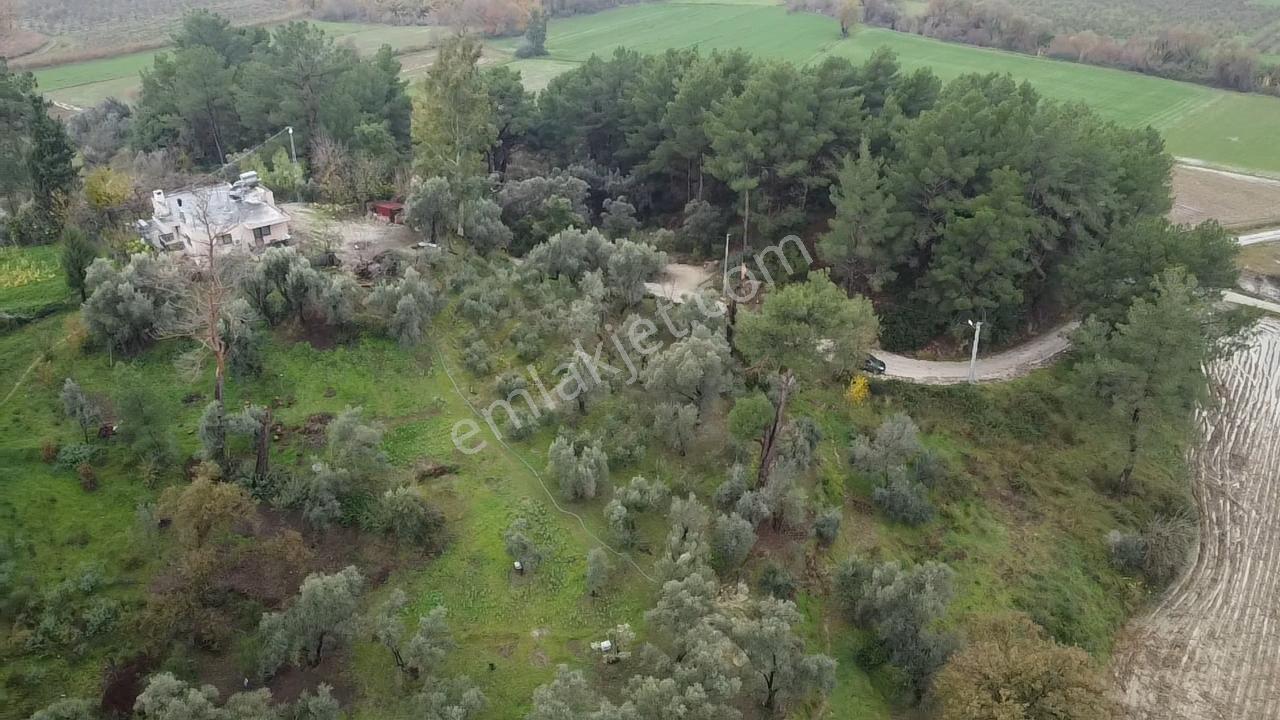 S. Kemer Korubükü'nde Köyiçi İmarlı 1439 M2 Satılık Arsa - Görsel 26