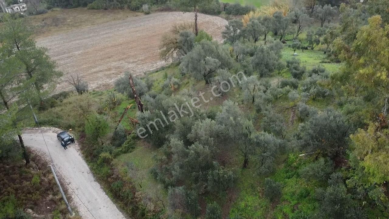 S. Kemer Korubükü'nde Köyiçi İmarlı 1439 M2 Satılık Arsa - Görsel 25