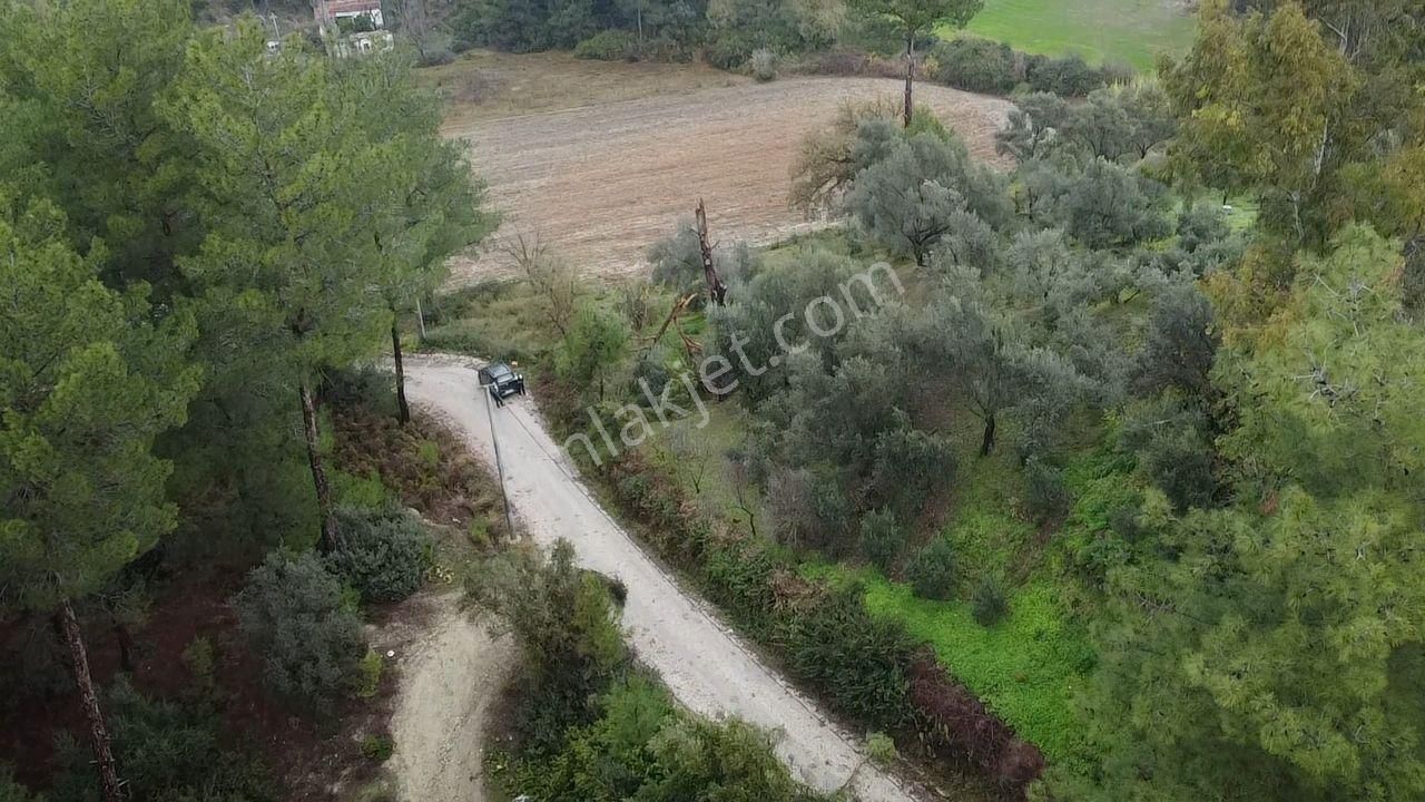 S. Kemer Korubükü'nde Köyiçi İmarlı 1439 M2 Satılık Arsa - Görsel 15
