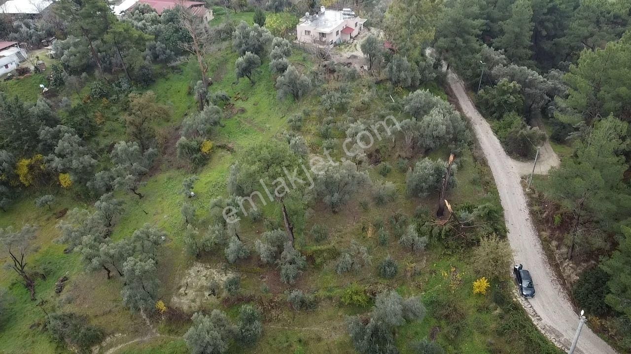 S. Kemer Korubükü'nde Köyiçi İmarlı 1439 M2 Satılık Arsa - Görsel 9