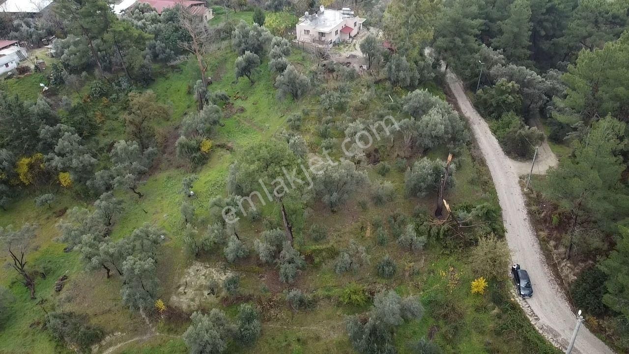 S. Kemer Korubükü'nde Köyiçi İmarlı 1439 M2 Satılık Arsa - Görsel 27