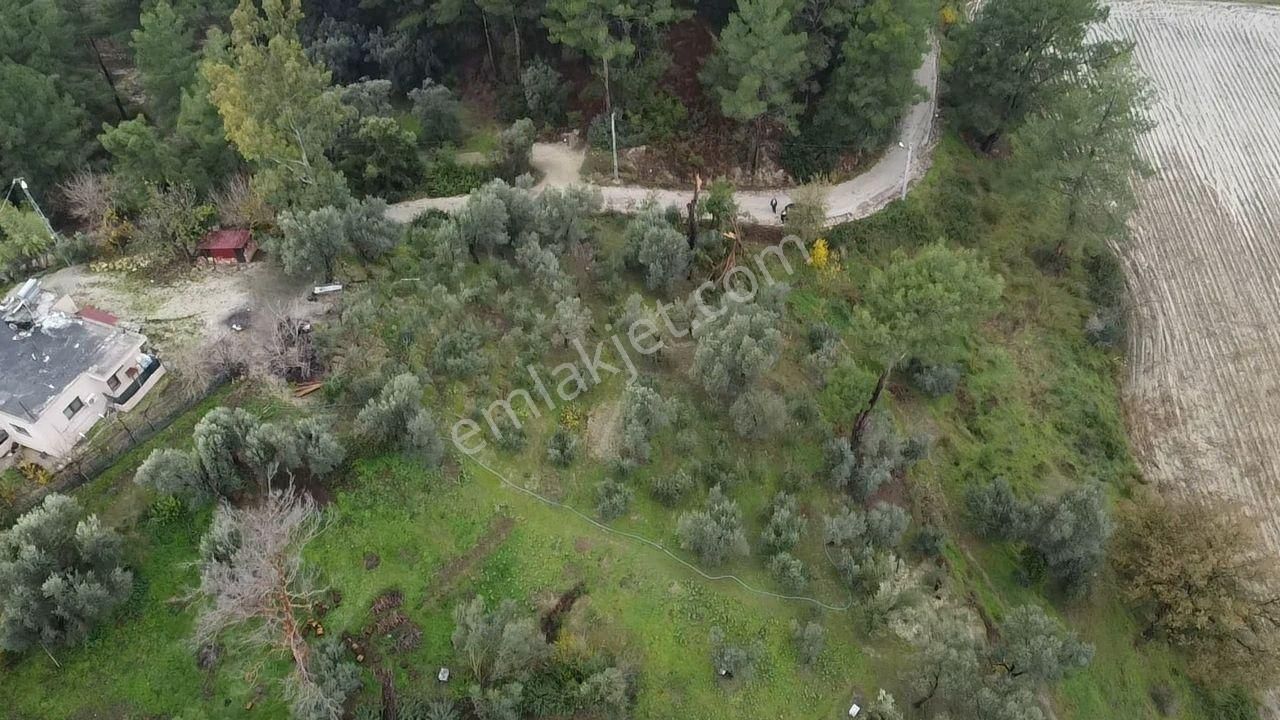 S. Kemer Korubükü'nde Köyiçi İmarlı 1439 M2 Satılık Arsa - Görsel 22