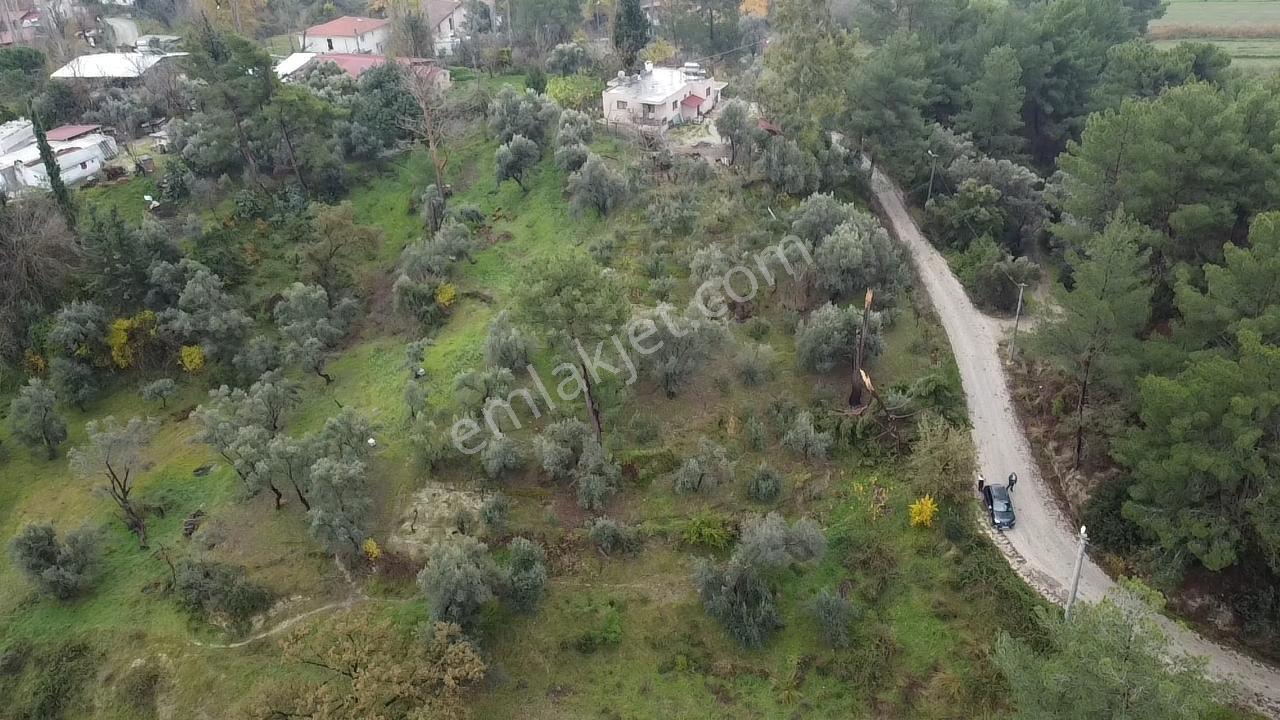 S. Kemer Korubükü'nde Köyiçi İmarlı 1439 M2 Satılık Arsa - Görsel 30