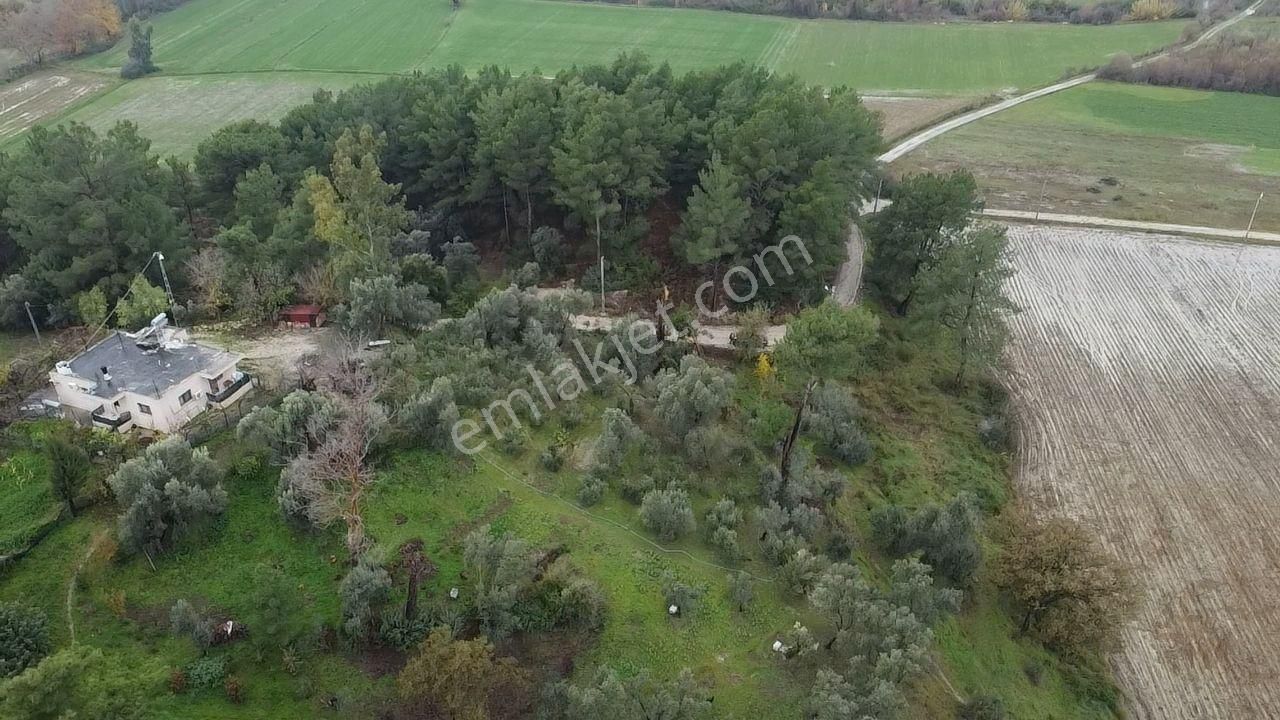 S. Kemer Korubükü'nde Köyiçi İmarlı 1439 M2 Satılık Arsa - Görsel 12