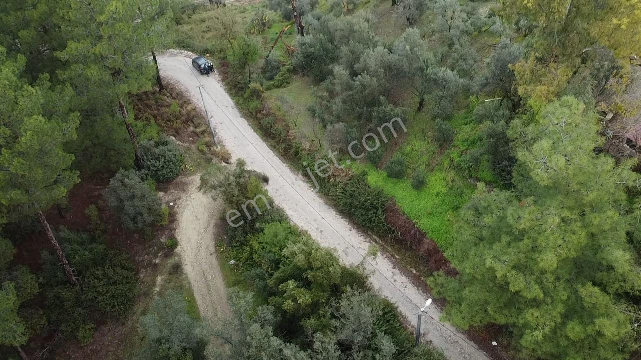S. Kemer Korubükü'nde Köyiçi İmarlı 1439 M2 Satılık Arsa - Görsel 34