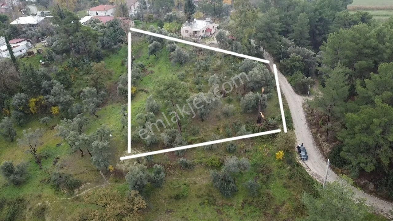 S. Kemer Korubükü'nde Köyiçi İmarlı 1439 M2 Satılık Arsa