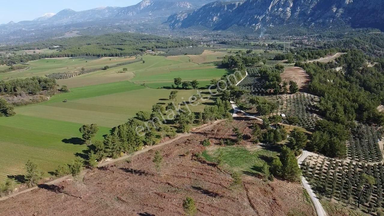 Doğanın Kalbinde Kayadibi'nde Yolu Olan 1650 M2 Müstakil Arazi - Görsel 2