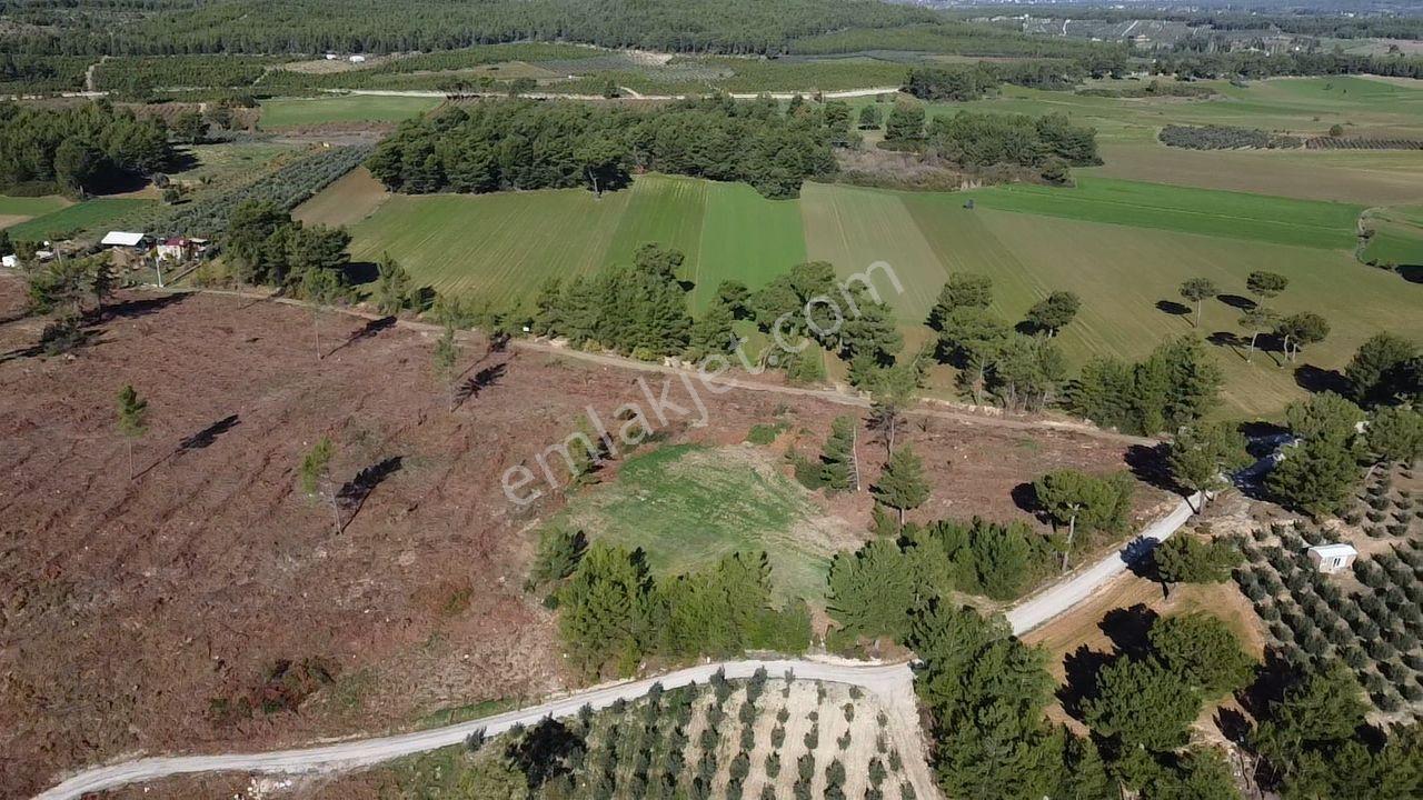 Doğanın Kalbinde Kayadibi'nde Yolu Olan 1650 M2 Müstakil Arazi - Görsel 5