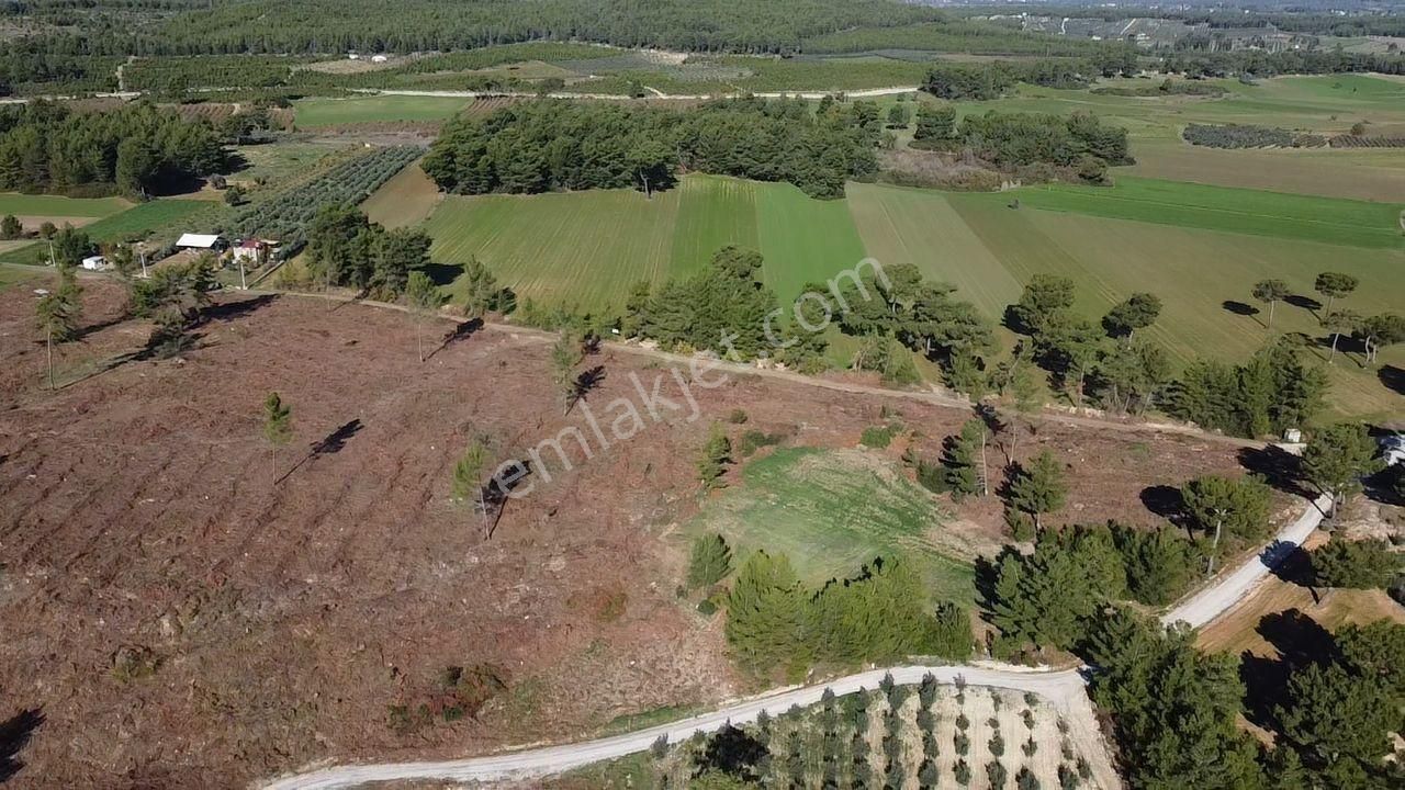 Doğanın Kalbinde Kayadibi'nde Yolu Olan 1650 M2 Müstakil Arazi - Görsel 31