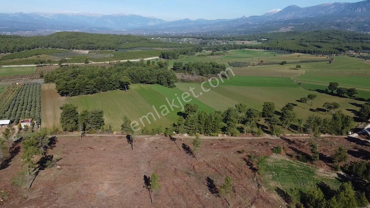 Doğanın Kalbinde Kayadibi'nde Yolu Olan 1650 M2 Müstakil Arazi - Görsel 6