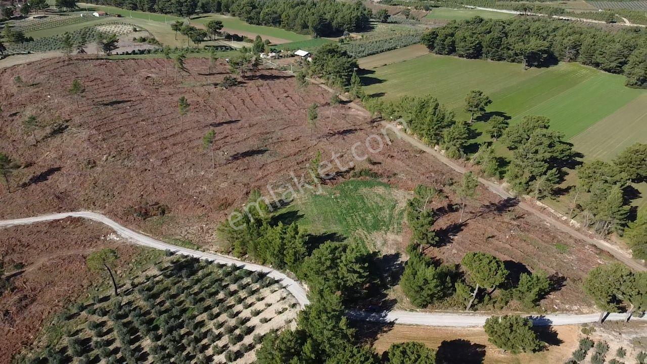 Doğanın Kalbinde Kayadibi'nde Yolu Olan 1650 M2 Müstakil Arazi - Görsel 29