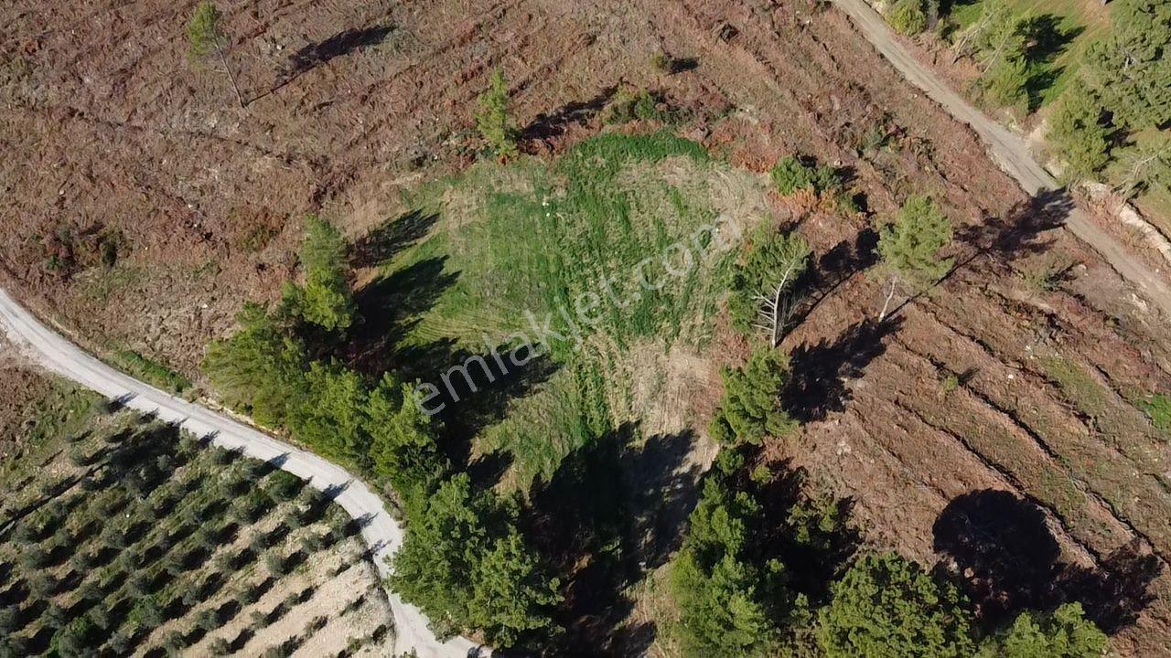 Doğanın Kalbinde Kayadibi'nde Yolu Olan 1650 M2 Müstakil Arazi - Görsel 2