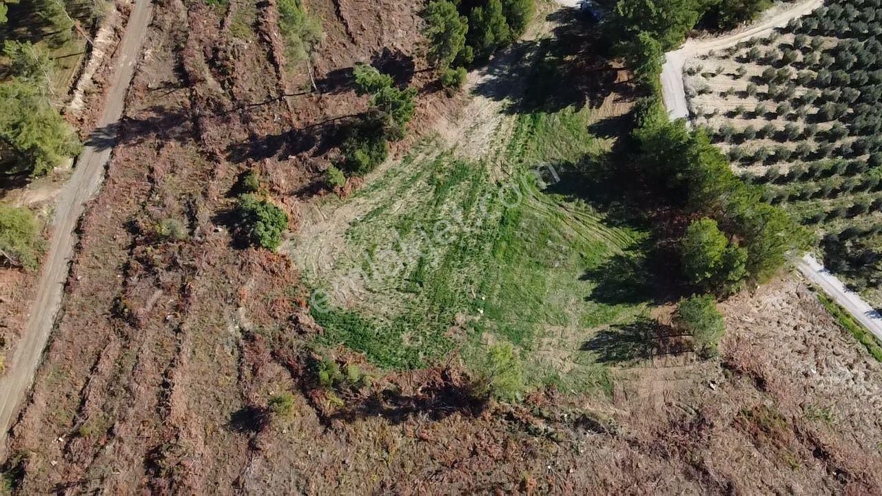 Doğanın Kalbinde Kayadibi'nde Yolu Olan 1650 M2 Müstakil Arazi - Görsel 32