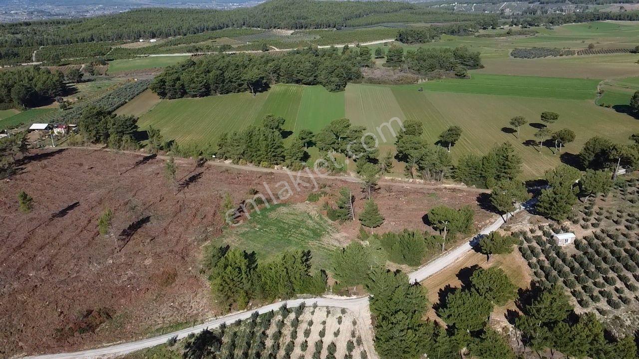 Doğanın Kalbinde Kayadibi'nde Yolu Olan 1650 M2 Müstakil Arazi - Görsel 26