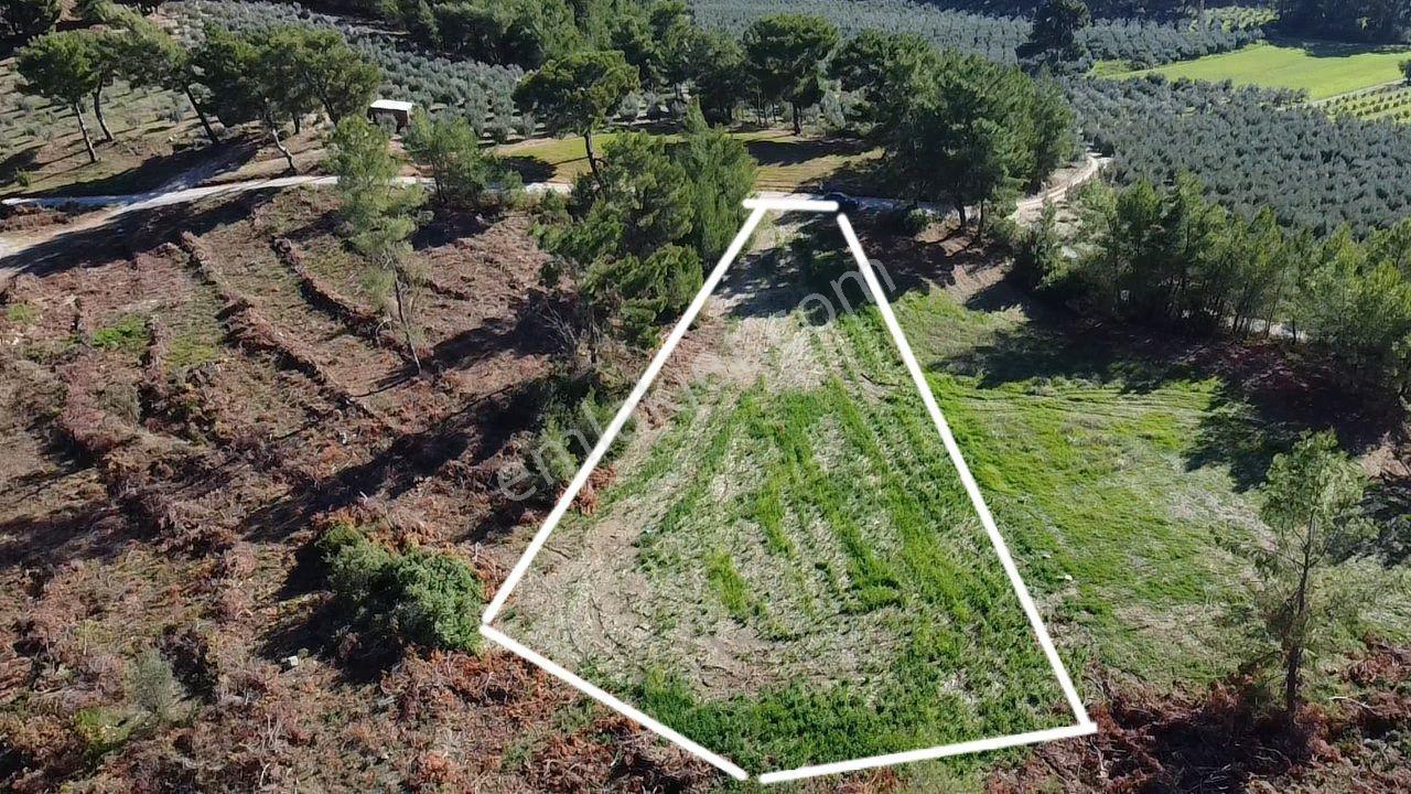 Doğanın Kalbinde Kayadibi'nde Yolu Olan 1650 M2 Müstakil Arazi - Görsel 12