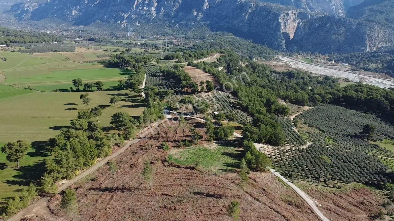 Doğanın Kalbinde Kayadibi'nde Yolu Olan 1650 M2 Müstakil Arazi - Görsel 25