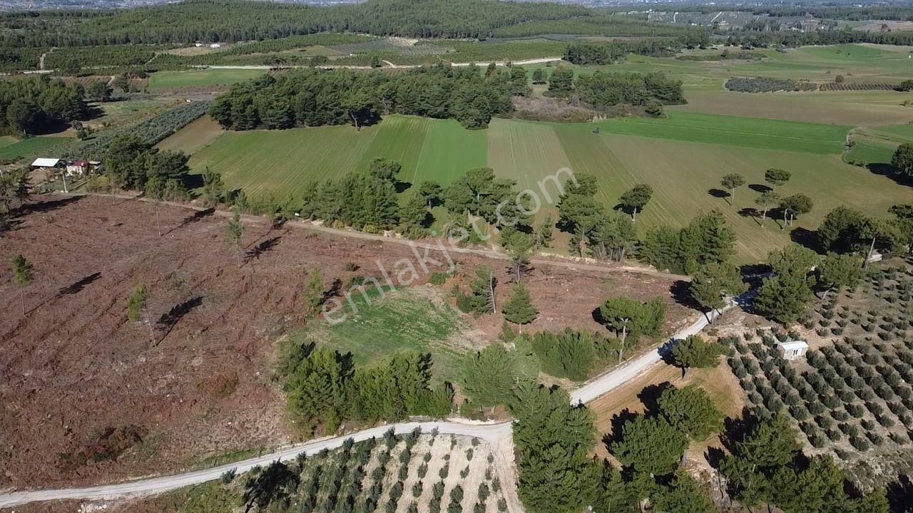 Doğanın Kalbinde Kayadibi'nde Yolu Olan 1650 M2 Müstakil Arazi - Görsel 22