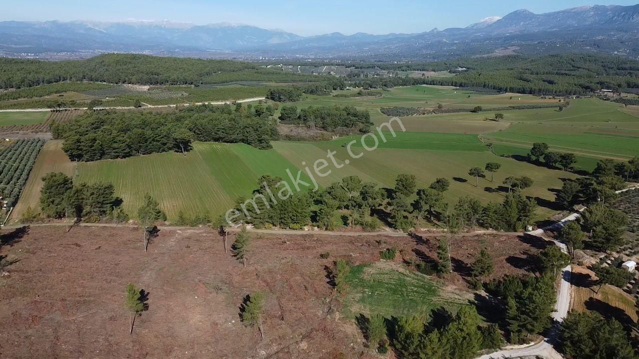 Doğanın Kalbinde Kayadibi'nde Yolu Olan 1650 M2 Müstakil Arazi