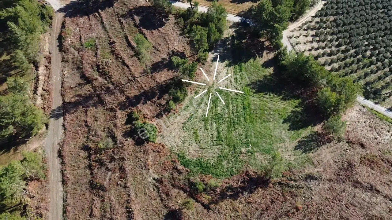 Doğanın Kalbinde Kayadibi'nde Yolu Olan 1650 M2 Müstakil Arazi