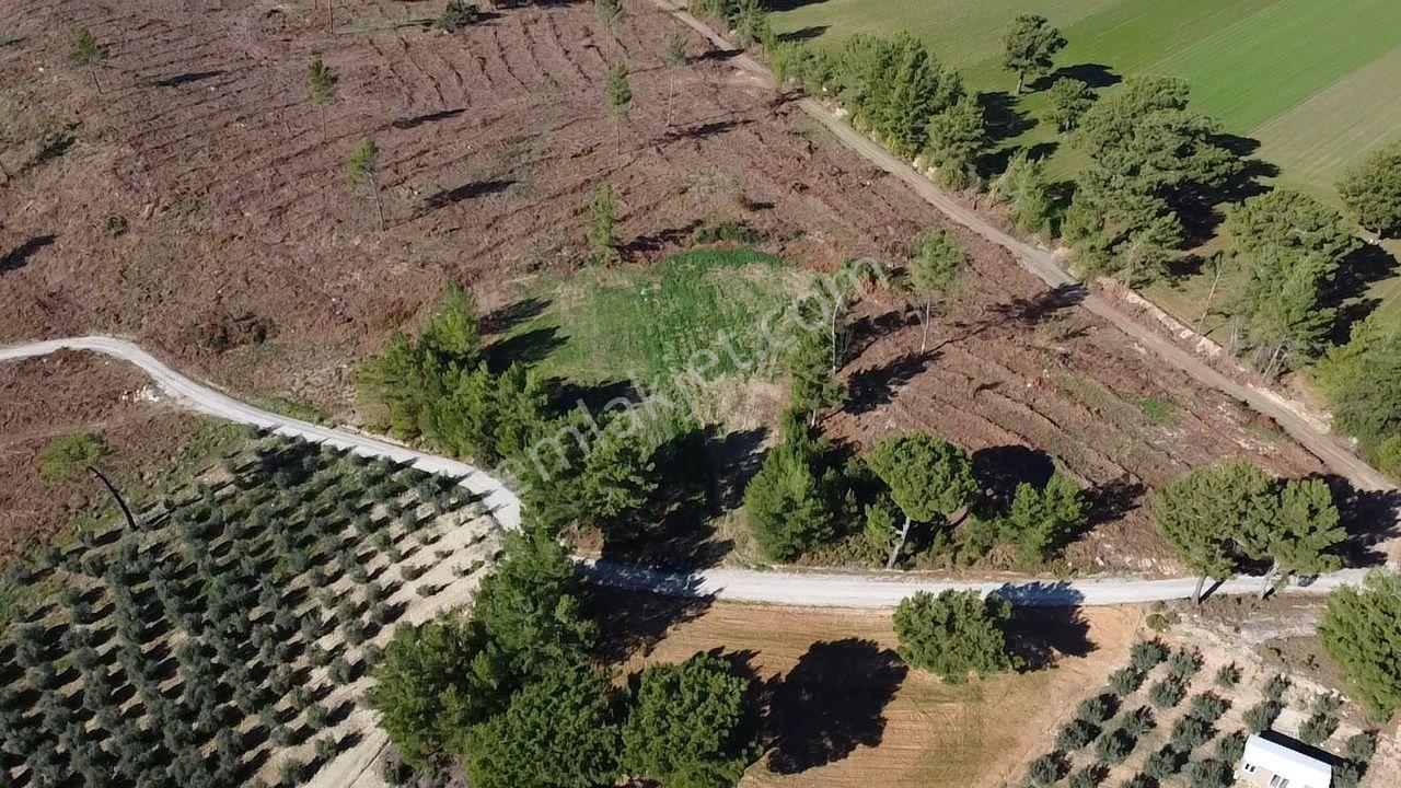 Doğanın Kalbinde Kayadibi'nde Yolu Olan 1650 M2 Müstakil Arazi - Görsel 17