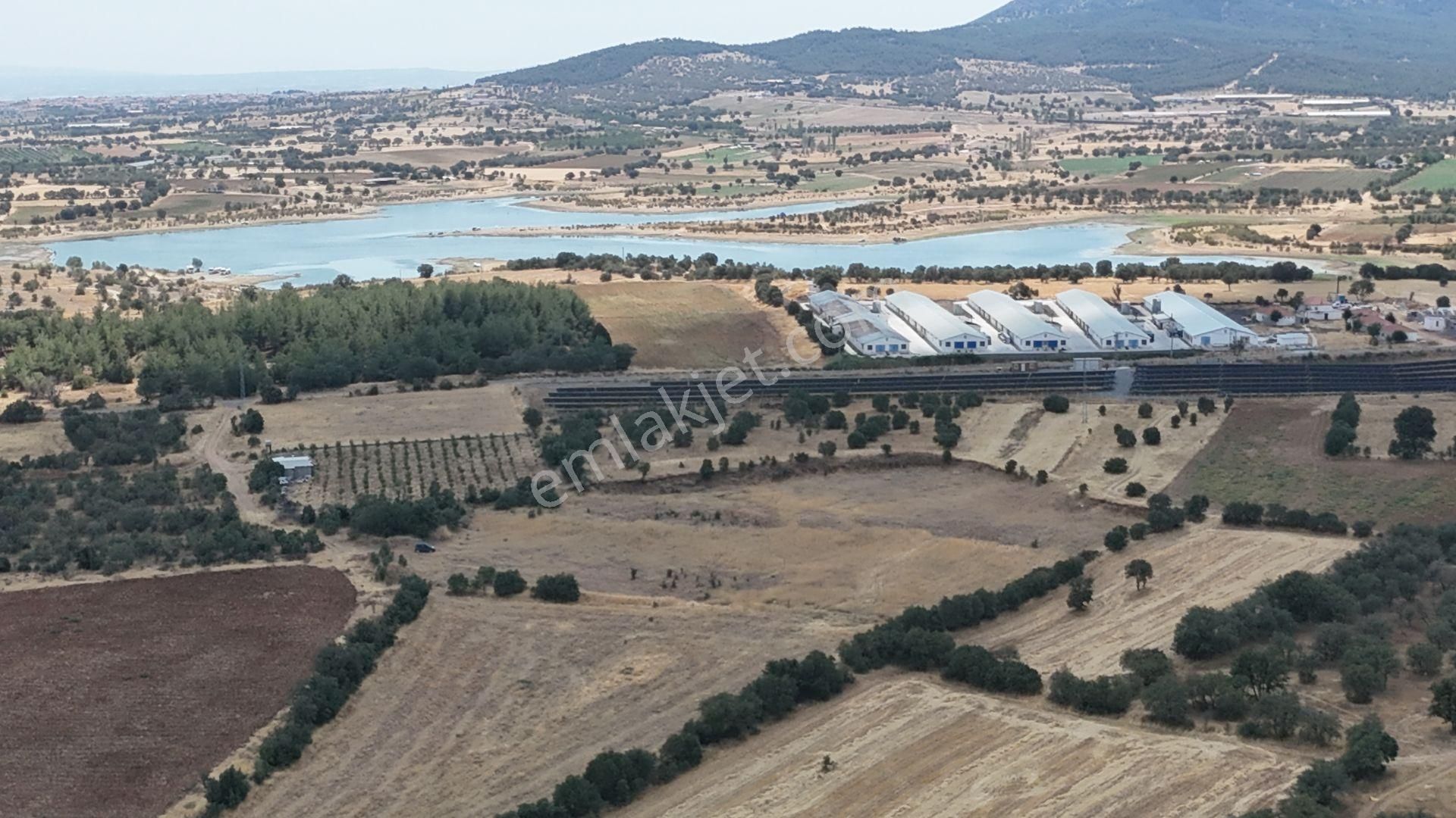 Uşak / Eşme / Kıranköy Mahallesinde 2.700 M² Müstakil Tapulu Tarla - Görsel 6