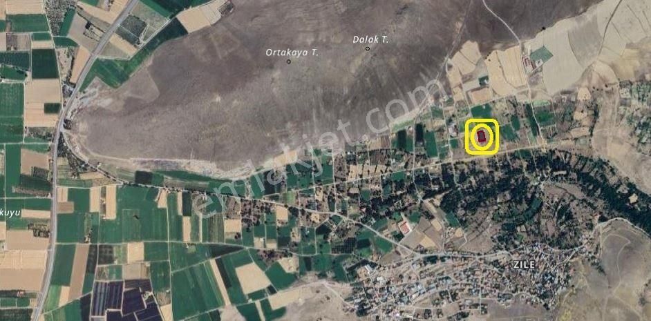 Zile Karaman Çalısı Mevki Köşebaşı 1650m2 Satılık Hobi Bahçesi - Görsel 3