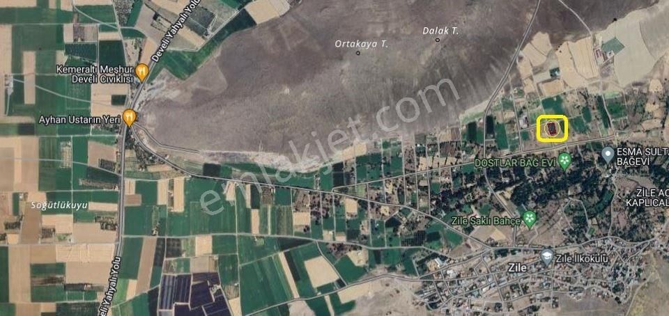 Zile Karaman Çalısı Mevki Köşebaşı 1650m2 Satılık Hobi Bahçesi - Görsel 4