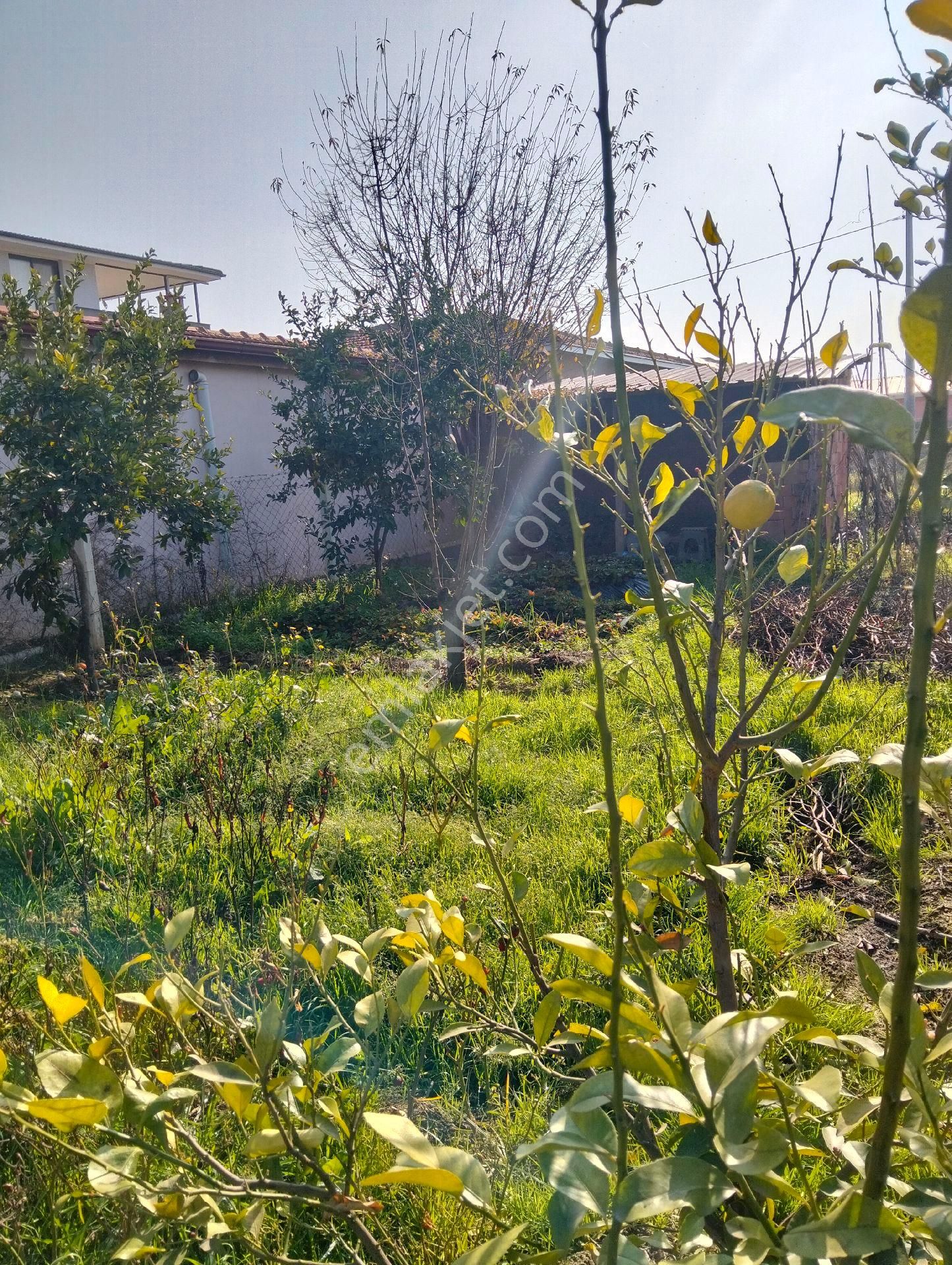 Aydın İncirliova Sandıklı Mah. Satılık Müstakil Ev. - Görsel 5