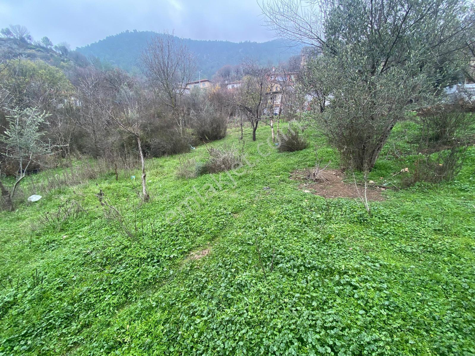 Bilecik İnhisarda Acil Satilik Arsa - Görsel 8