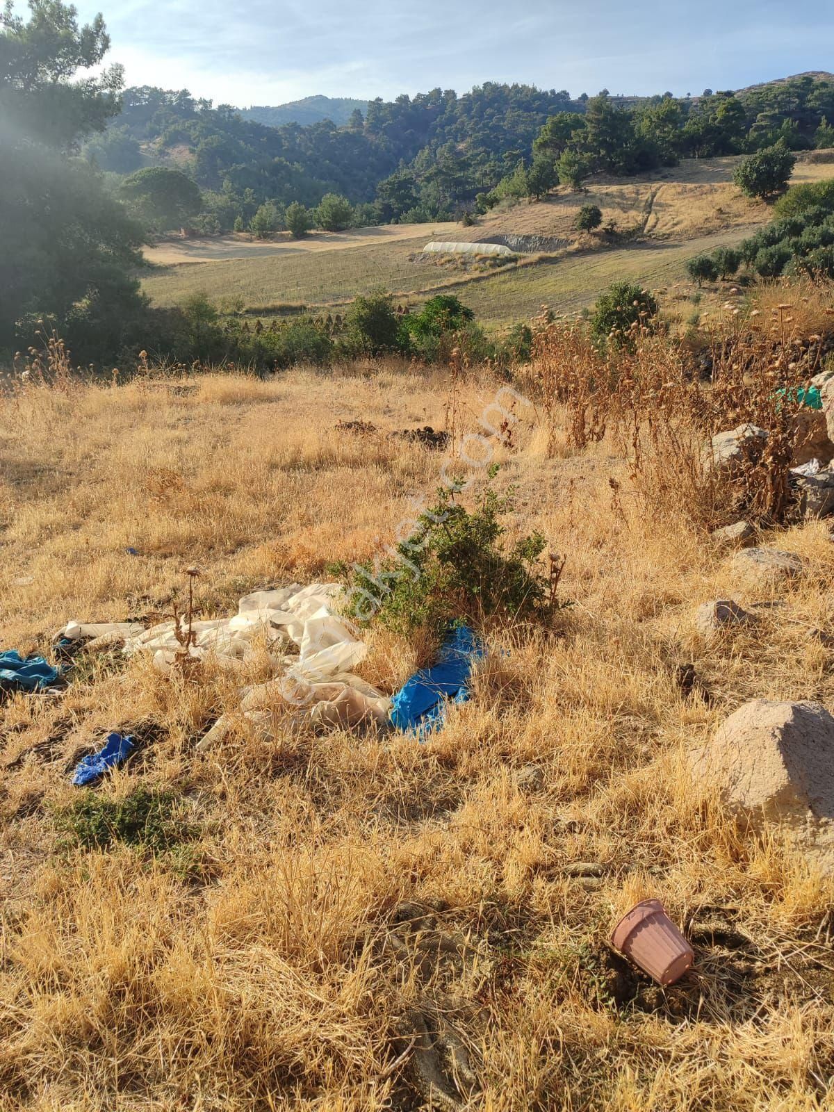 Antalya Akseki De Acil Satilik Tarla - Görsel 5