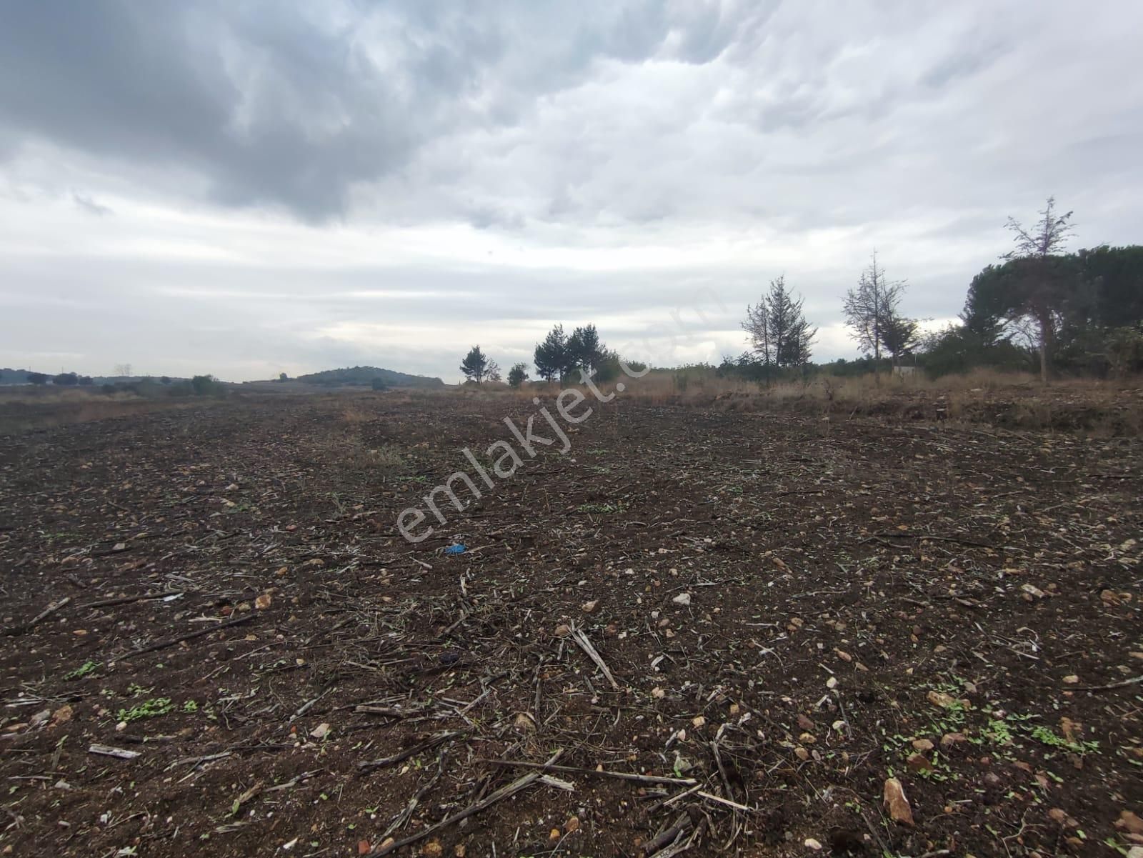 Bursa Karacabey İkizce De Teknosaba Yakın Konumda Satılık Tarla - Görsel 8