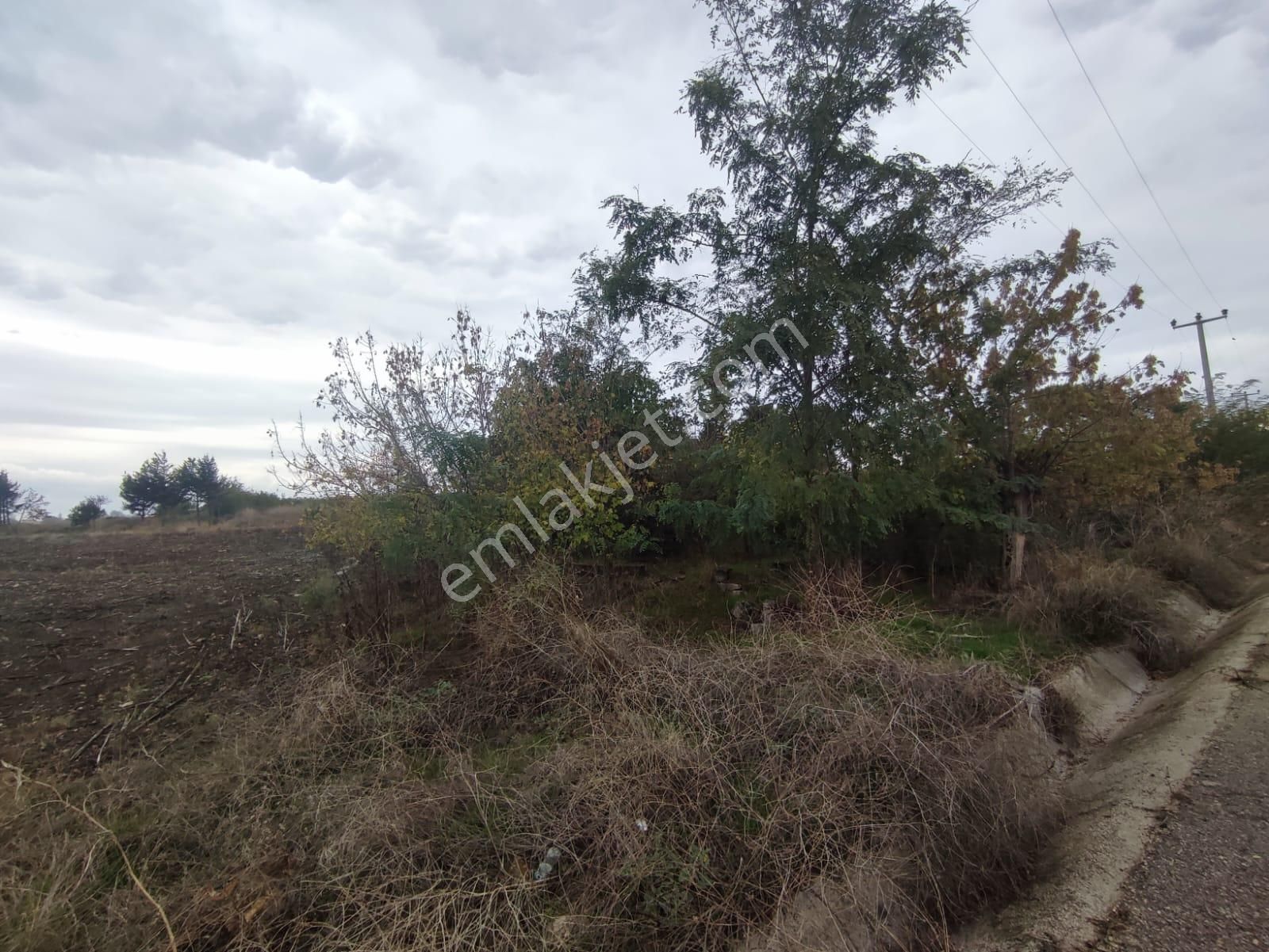 Bursa Karacabey İkizce De Teknosaba Yakın Konumda Satılık Tarla - Görsel 11