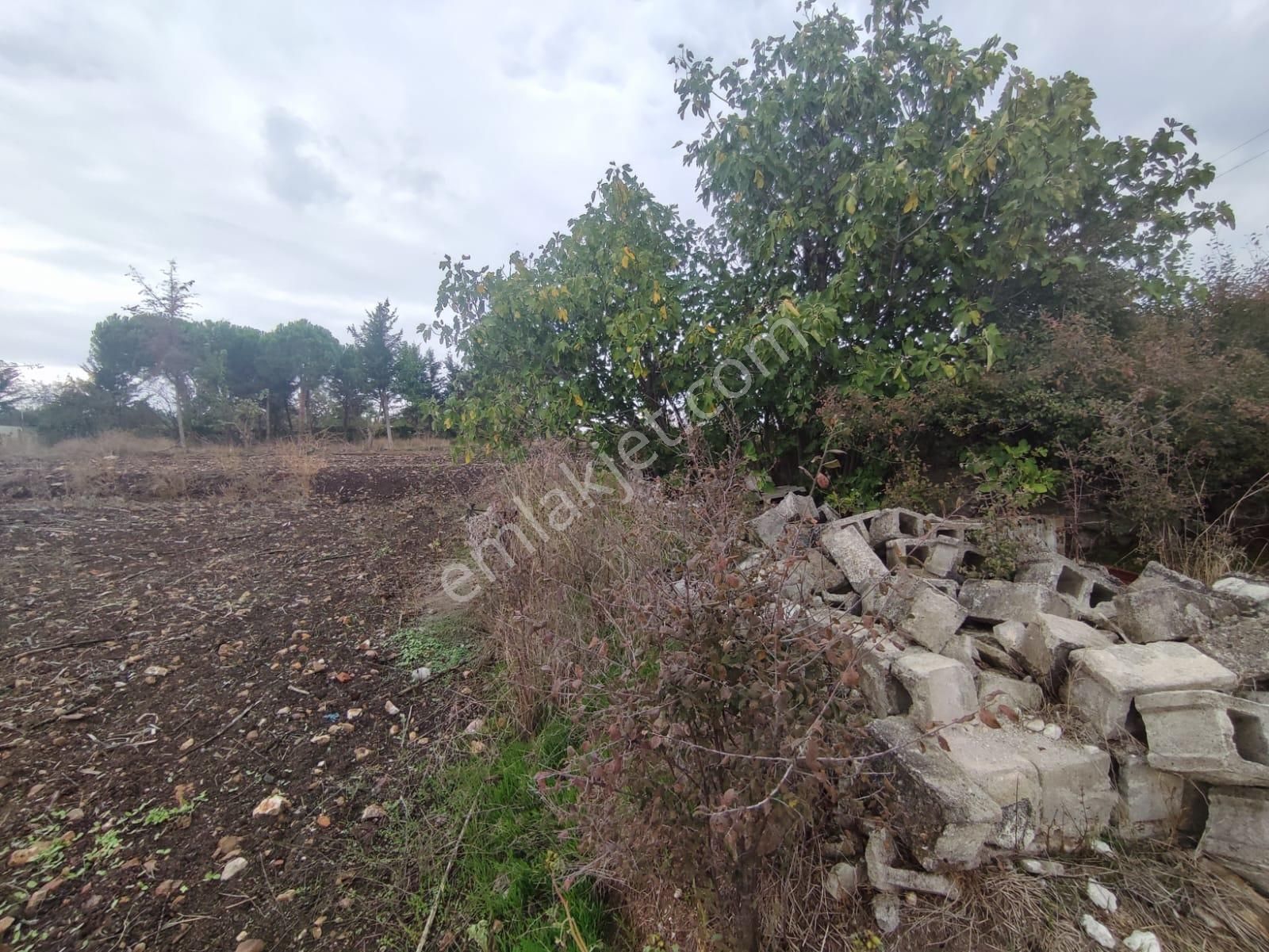 Bursa Karacabey İkizce De Teknosaba Yakın Konumda Satılık Tarla - Görsel 13