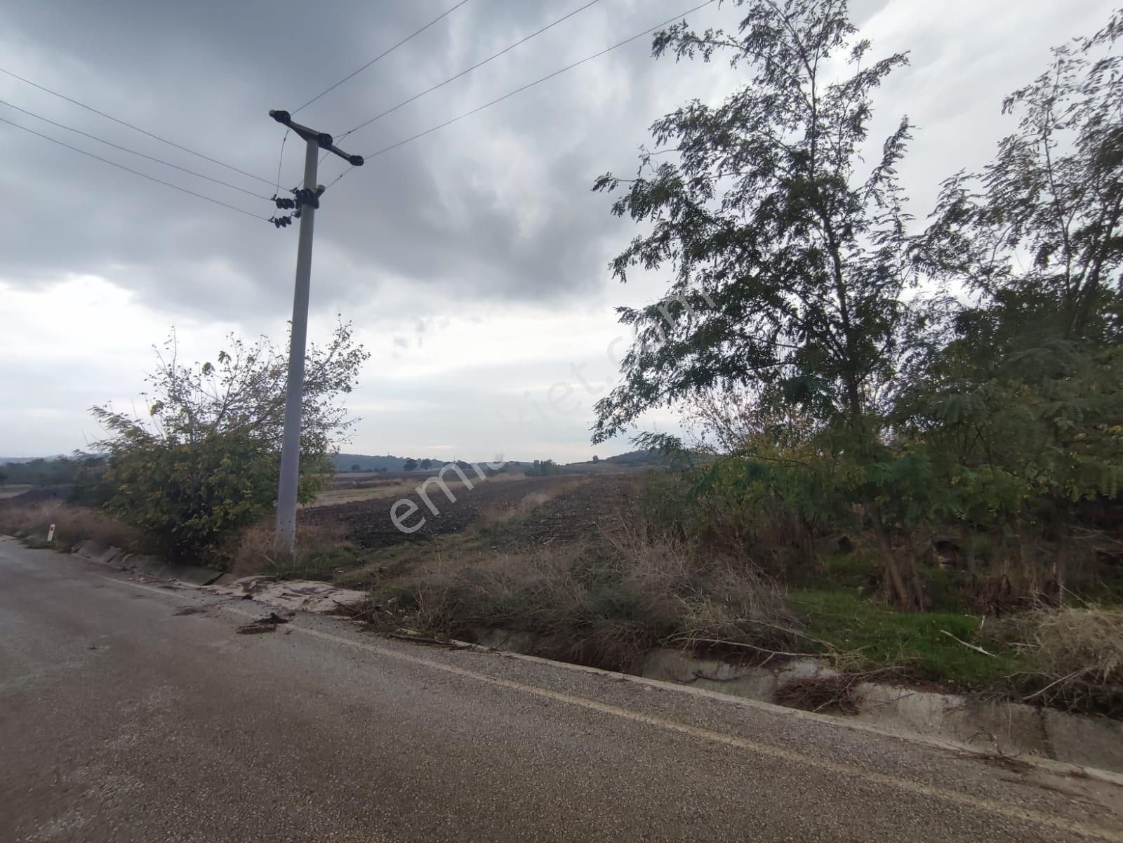 Bursa Karacabey İkizce De Teknosaba Yakın Konumda Satılık Tarla - Görsel 15