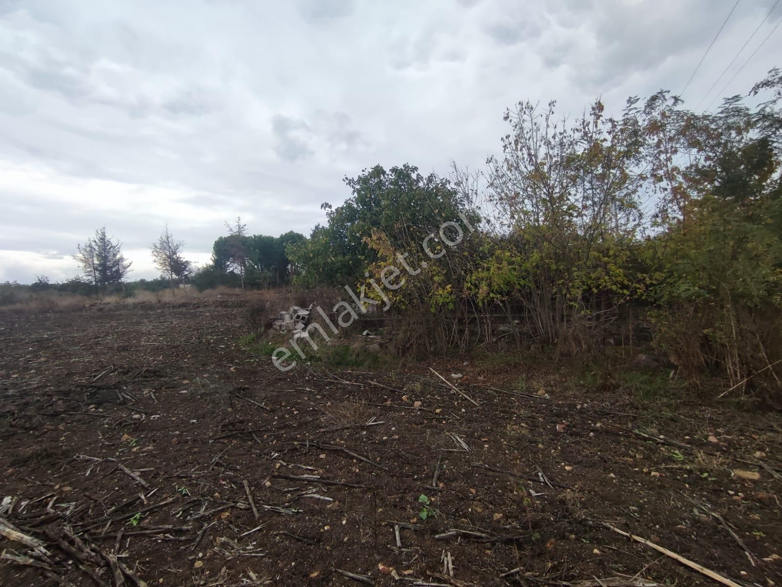 Bursa Karacabey İkizce De Teknosaba Yakın Konumda Satılık Tarla - Görsel 10