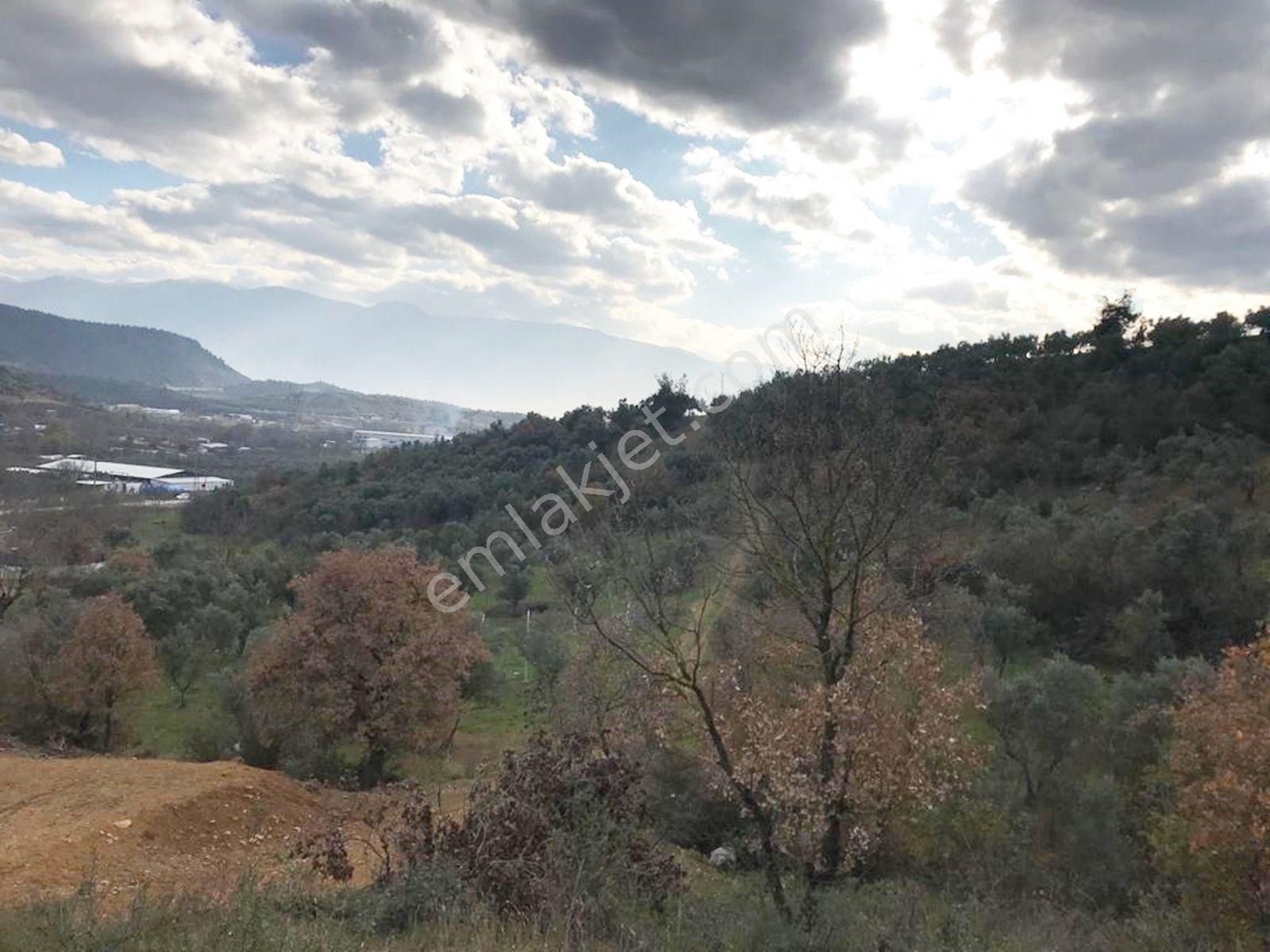 Demirtaş Barbaros Da Şehir Manzaralı Villa İmarlı Satılık Arsa - Görsel 14