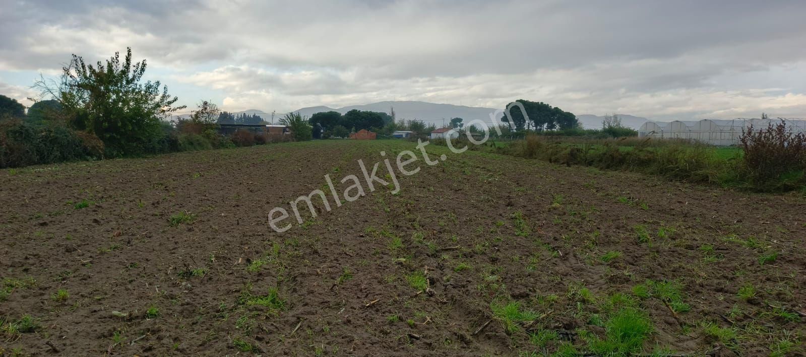 Satılık Kelepir Arsa