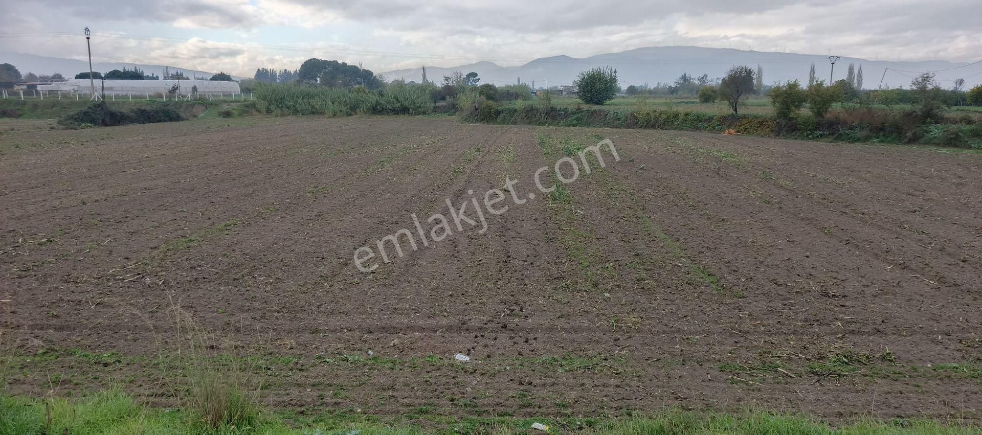 Satılık Kelepir Arsa - Görsel 15