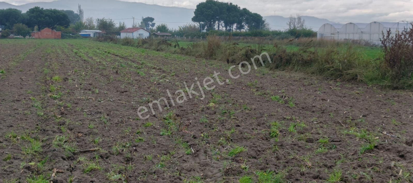 Satılık Kelepir Arsa - Görsel 6