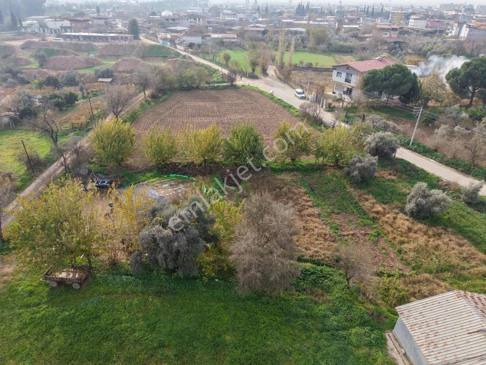 Aydın Efeler Işıklı Mahallesinde Satılık Bahçe - Görsel 5