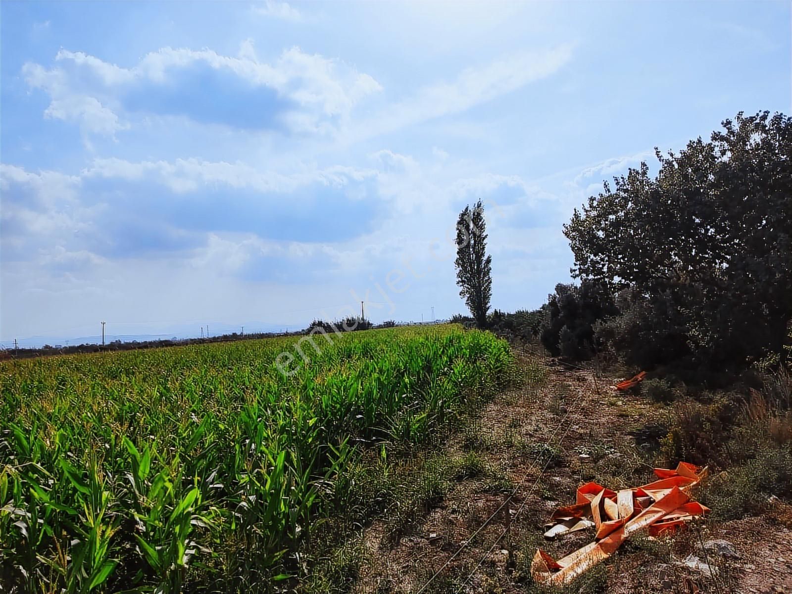 Century21 Işıltı'dan Söke Bodrum Yolu Üzerinde Yatırımlık Arazi - Görsel 10