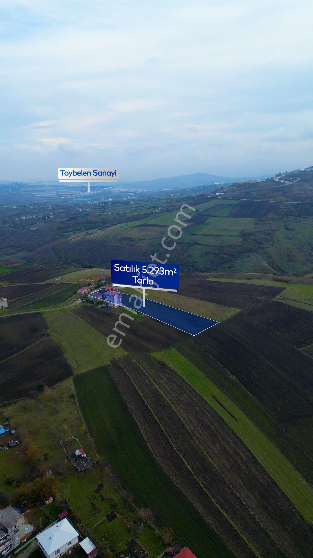 Samsun Atakum Alanlı'da Satılık Tarla - Görsel 6