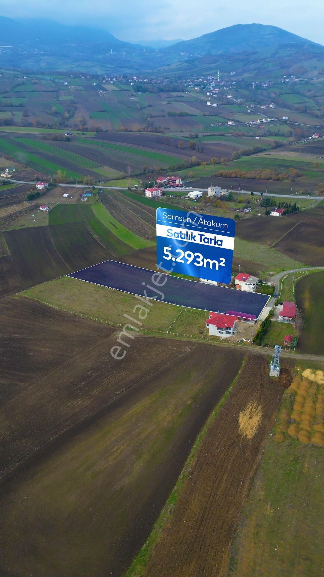 Samsun Atakum Alanlı'da Satılık Tarla - Görsel 2