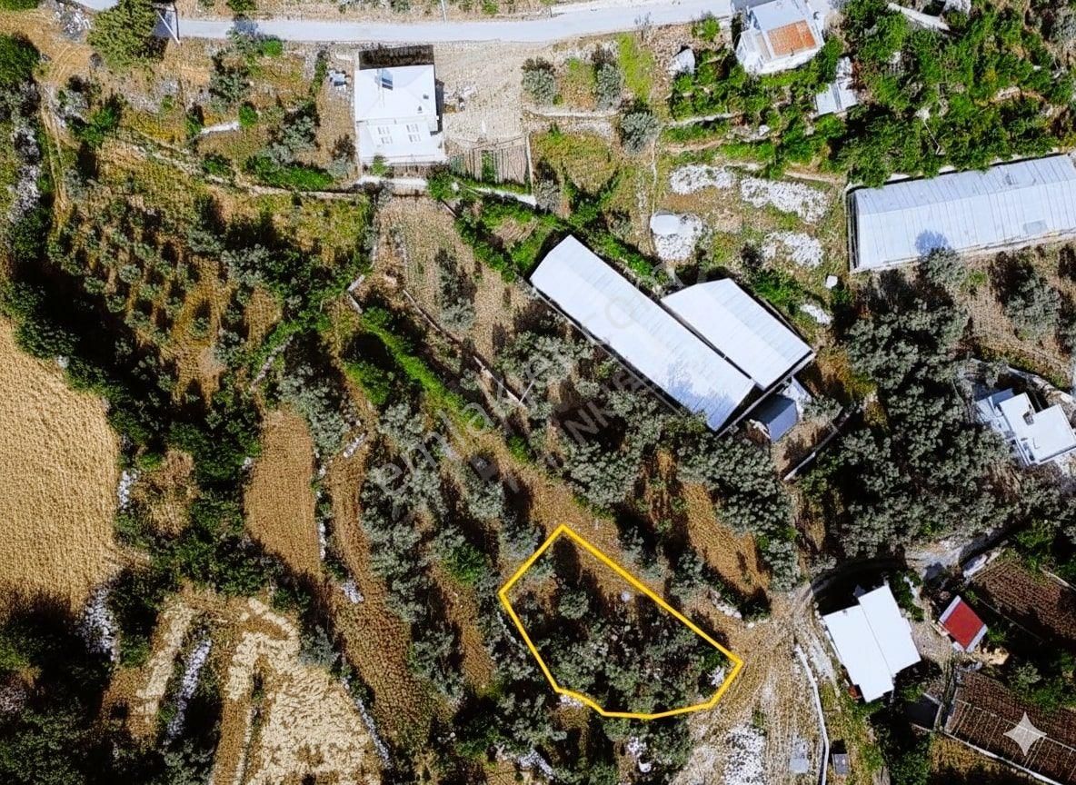Goldhouse Dan Köy İçi İmarlı Yakacık Da Yatırım Fırsatı - Görsel 3