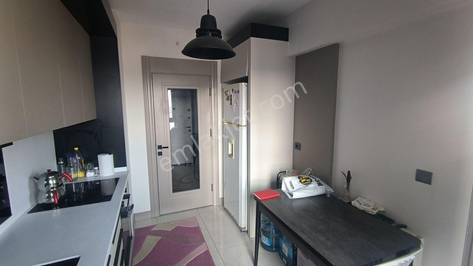 Acil Satılık 2+1 Bağımsız Mutfak Güney Cephe - Görsel 15