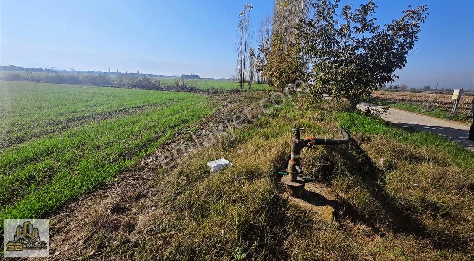 İzmir Tire Sb Emlak'tan Kahrat Mahallesinde Yatırımlık Tarla - Görsel 5